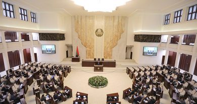 Депутаты планируют рассмотреть законопроект о народном ополчении во втором чтении до конца сессии