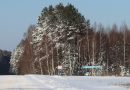 Температура воздуха в первой декаде декабря ожидается в Могилевской области ниже климатической нормы