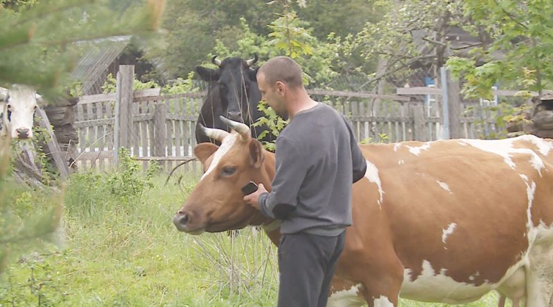 Семья Бобровых развивает фермерство в Краснопольском районе (видео)