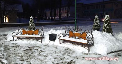 Погода на выходные: до -14°С в ночь на субботу и сильный снег в воскресенье Погода на выходные: до -14°С в ночь на субботу и сильный снег в воскресенье