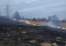 В Могилевской области спасатели за сутки тушили 15 пожаров в экосистемах