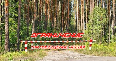 Ограничения и запреты на посещение лесов действуют во всех районах Беларуси