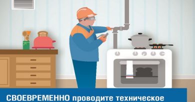 Как часто нужно проводить техническое обслуживание газового оборудования Как часто нужно проводить техническое обслуживание газового оборудования