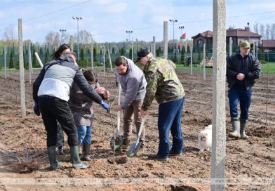 Лукашенко проводит субботник на своей малой родине