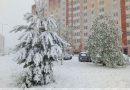 В Беларусь в апреле вернулась зима
