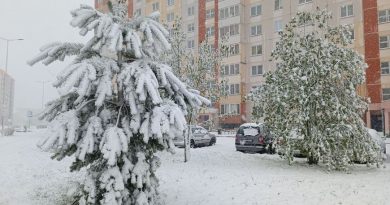 В Беларусь в апреле вернулась зима