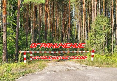 Ограничение на посещение лесов введено в Краснопольском районе с 29 апреля