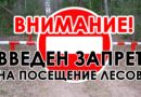 Ограничения на посещение лесов в Краснопольском лесхозе  