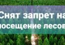 Краснопольский лесхоз снимает ограничения на посещение лесов с 5 мая